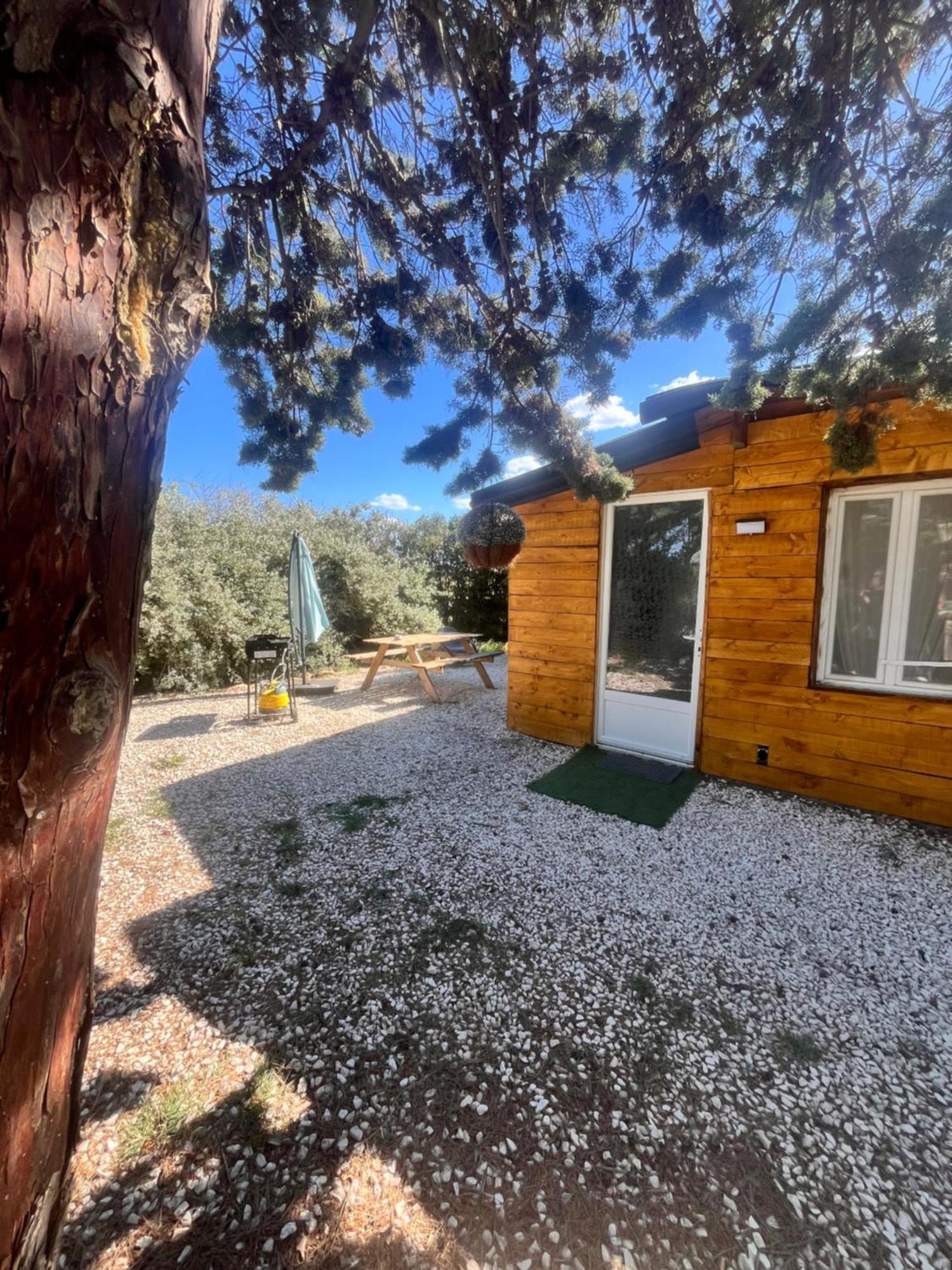 Location T3 Jardin Avec Piscine Villa Mèze Buitenkant foto